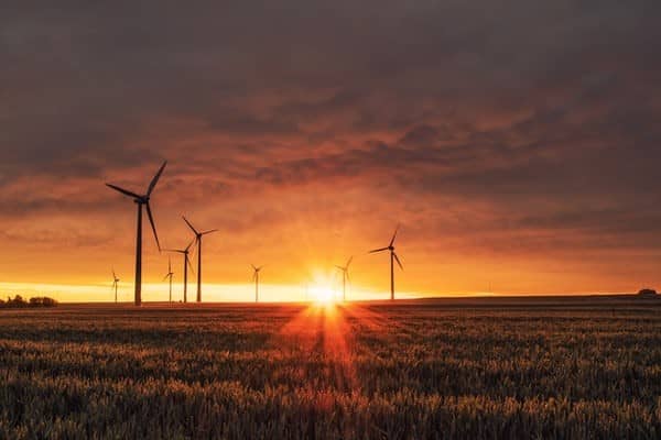 Lee más sobre el artículo Los diferentes tipos de energías renovables que existen